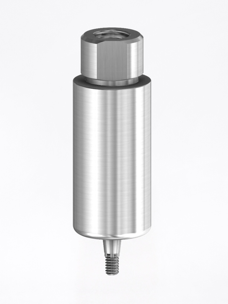 Premilled Internal Ank