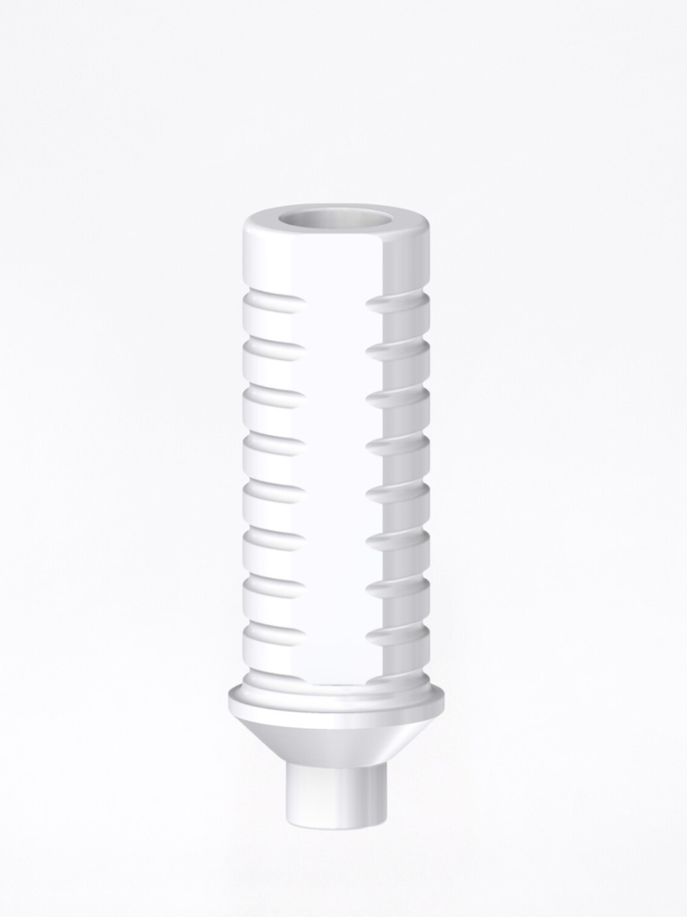 Calcinabile Internal Hex MI