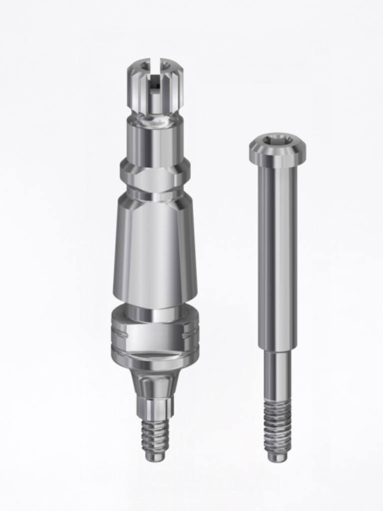 Transfer Internal Hex Conic