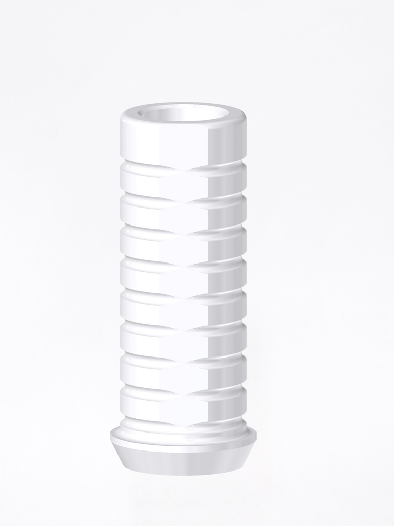 Calcinabile External Hex BH