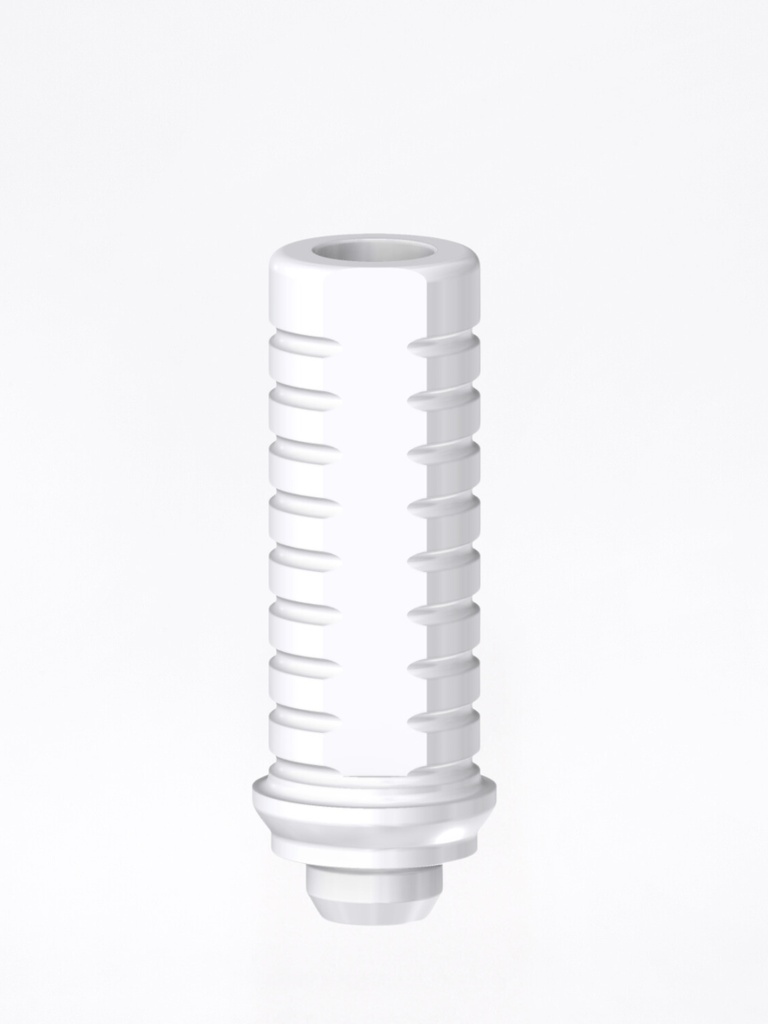 Calcinabile Internal CAM