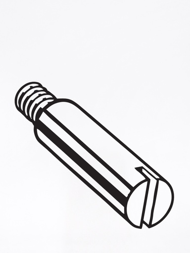 Coulisse SG® Vite di montaggio X