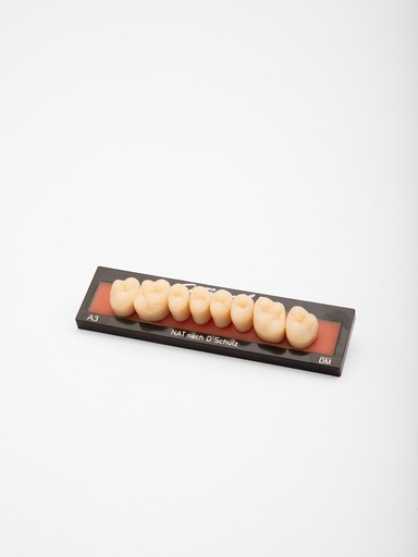 Creapearl 2 Posterior