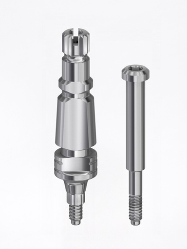 Transfer Internal Hex Conic