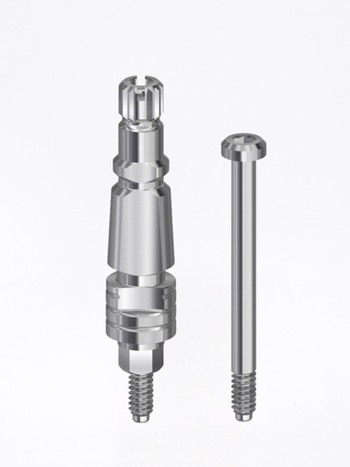 Transfer Internal Hex FD