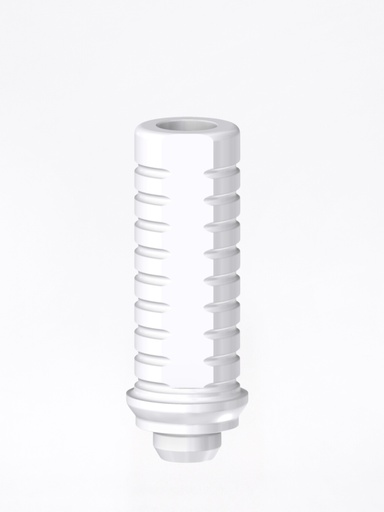 Calcinabile Internal CAM